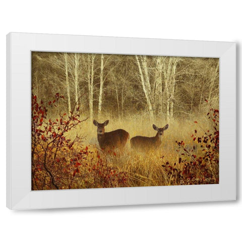 Foggy Deer White Modern Wood Framed Art Print by Vest, Chris