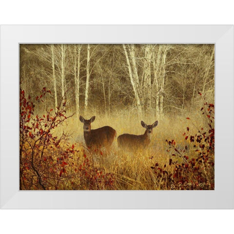 Foggy Deer White Modern Wood Framed Art Print by Vest, Chris
