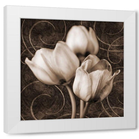Tulip and Swirls I White Modern Wood Framed Art Print by Zalewski, Christine