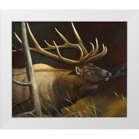 Elk Portrait II White Modern Wood Framed Art Print by Stans, Leo