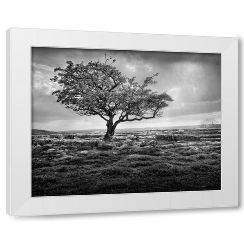 Elegance White Modern Wood Framed Art Print by Henson, Martin