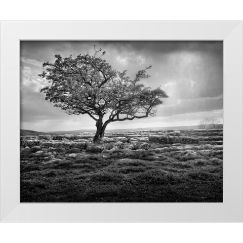 Elegance White Modern Wood Framed Art Print by Henson, Martin