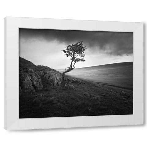 Outcrop White Modern Wood Framed Art Print by Henson, Martin