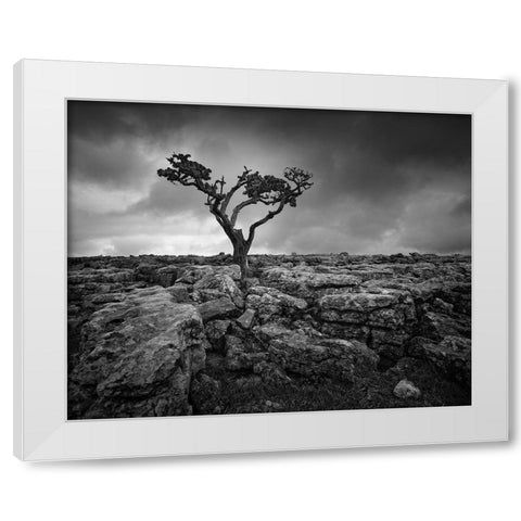 Pavement and Tree II White Modern Wood Framed Art Print by Henson, Martin