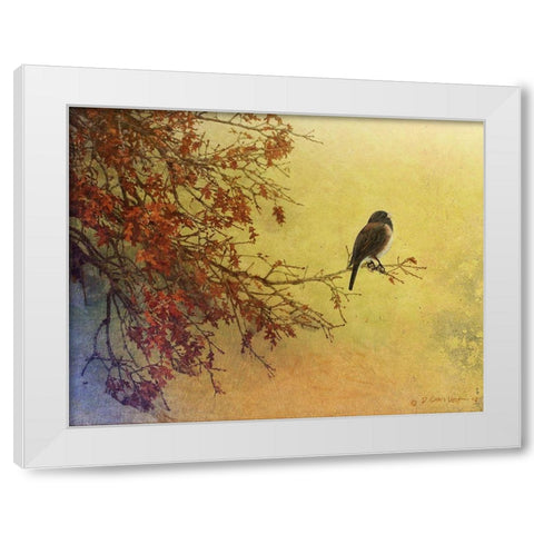 Custom Snow Oak Junco (ASH) White Modern Wood Framed Art Print by Vest, Chris