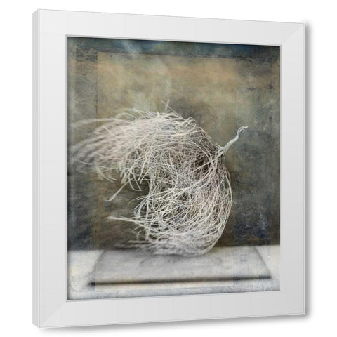 Desert Form I White Modern Wood Framed Art Print by Ray, Elena