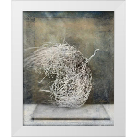 Desert Form I White Modern Wood Framed Art Print by Ray, Elena