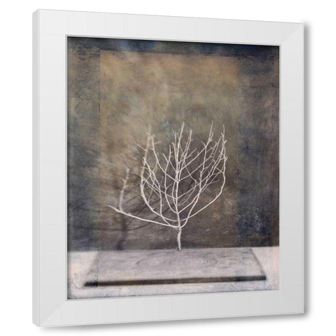 Desert Form II White Modern Wood Framed Art Print by Ray, Elena