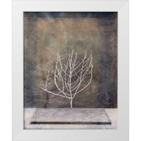 Desert Form II White Modern Wood Framed Art Print by Ray, Elena