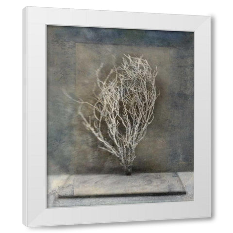 Desert Form III White Modern Wood Framed Art Print by Ray, Elena