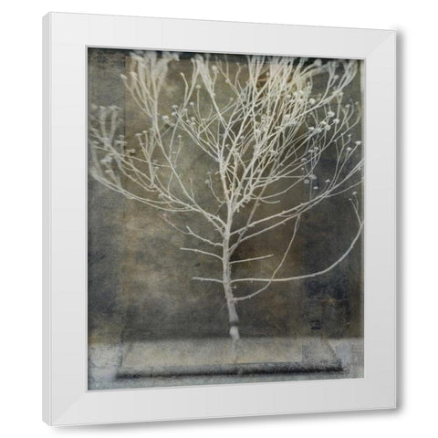 Desert Form IV White Modern Wood Framed Art Print by Ray, Elena