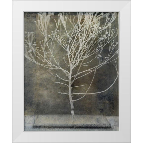 Desert Form IV White Modern Wood Framed Art Print by Ray, Elena