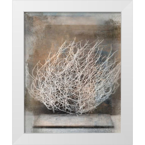 Desert Form V White Modern Wood Framed Art Print by Ray, Elena