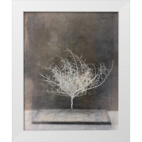 Desert Form VI White Modern Wood Framed Art Print by Ray, Elena