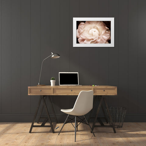 Elegant Ranunculus I White Modern Wood Framed Art Print by Zalewski, Christine
