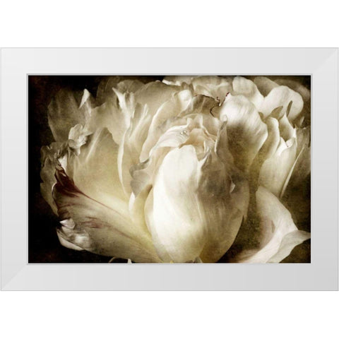 Elegant Peony I White Modern Wood Framed Art Print by Zalewski, Christine