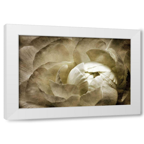 Elegant Peony II White Modern Wood Framed Art Print by Zalewski, Christine