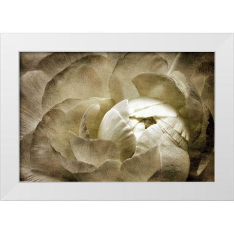 Elegant Peony II White Modern Wood Framed Art Print by Zalewski, Christine