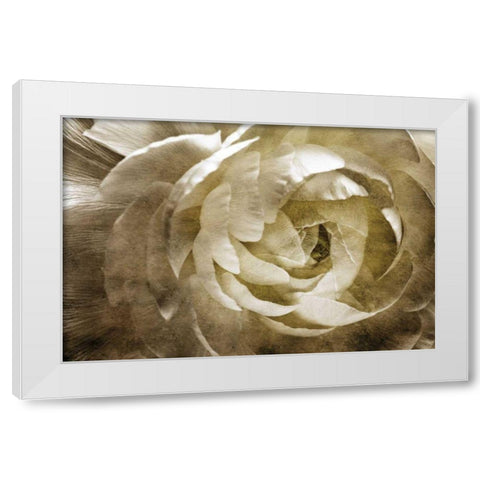 Elegant Peony III White Modern Wood Framed Art Print by Zalewski, Christine
