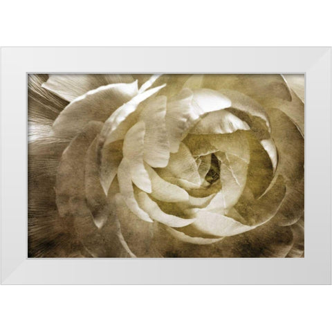Elegant Peony III White Modern Wood Framed Art Print by Zalewski, Christine