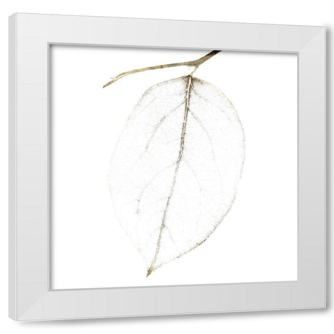 Fall Leaves IV White Modern Wood Framed Art Print by Zalewski, Christine