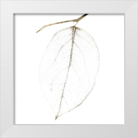 Fall Leaves IV White Modern Wood Framed Art Print by Zalewski, Christine