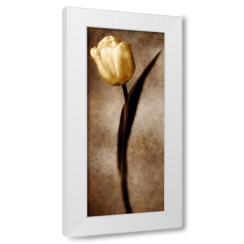 Damask Tulip II White Modern Wood Framed Art Print by Zalewski, Christine