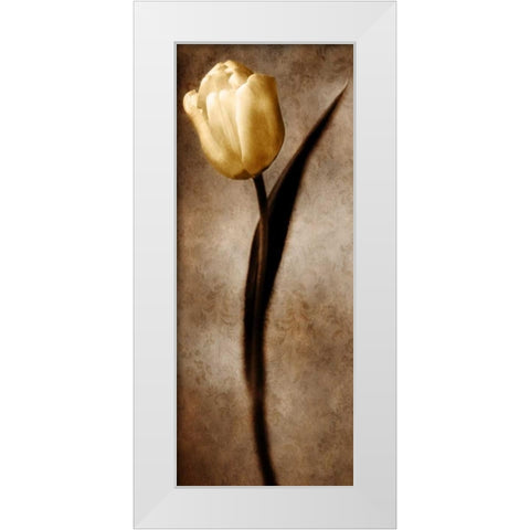 Damask Tulip II White Modern Wood Framed Art Print by Zalewski, Christine