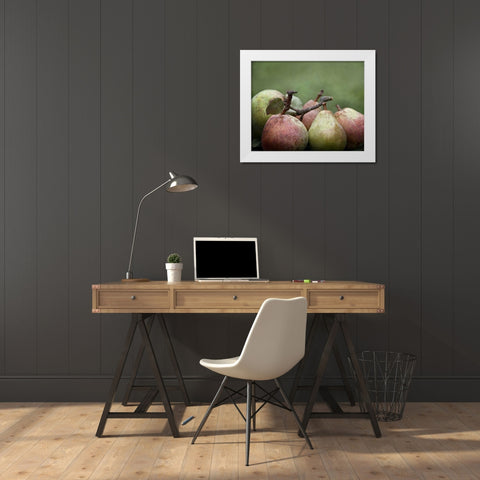 Comice Pears II White Modern Wood Framed Art Print by Perry, Rachel