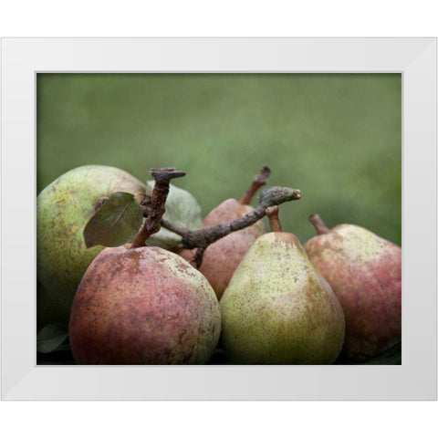 Comice Pears II White Modern Wood Framed Art Print by Perry, Rachel