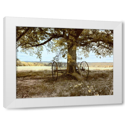 Aux Arbeils Oak White Modern Wood Framed Art Print by Chester, Colby