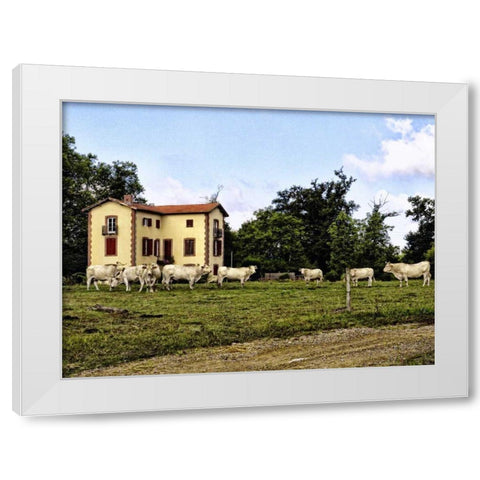 Cow Palace White Modern Wood Framed Art Print by Chester, Colby