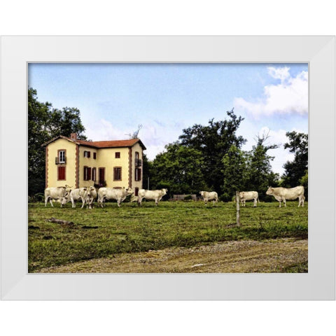 Cow Palace White Modern Wood Framed Art Print by Chester, Colby