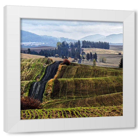 Palouse Hills White Modern Wood Framed Art Print by Chester, Colby