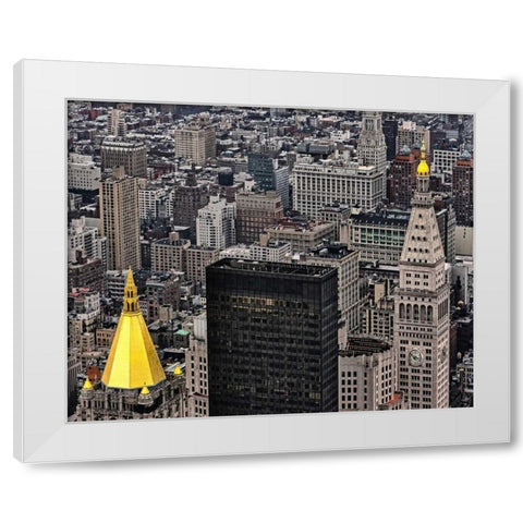 Crowned Jewels White Modern Wood Framed Art Print by Chester, Colby