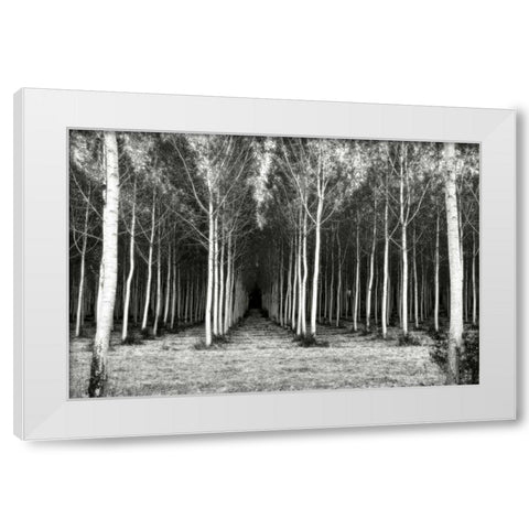 Alley At Lac Duby White Modern Wood Framed Art Print by Chester, Colby