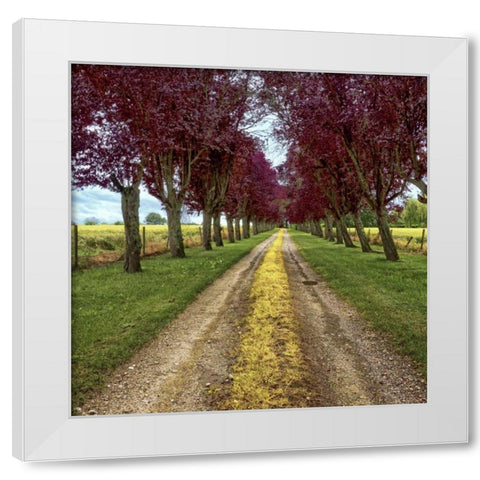 Approach White Modern Wood Framed Art Print by Chester, Colby