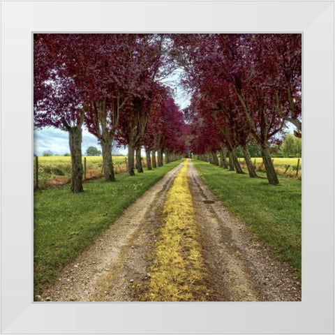 Approach White Modern Wood Framed Art Print by Chester, Colby