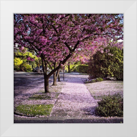 Fallen Petals White Modern Wood Framed Art Print by Chester, Colby