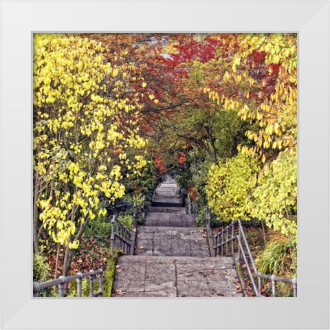 Autumn Tunnel White Modern Wood Framed Art Print by Chester, Colby