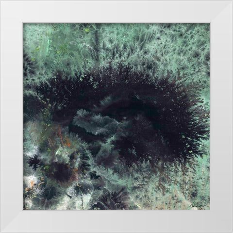Coral and Jelly Fish I White Modern Wood Framed Art Print by Roll, Dlynn