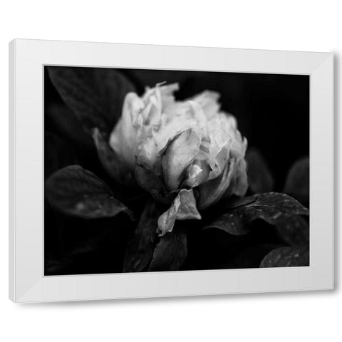 Poetry I White Modern Wood Framed Art Print by Ling, Tang