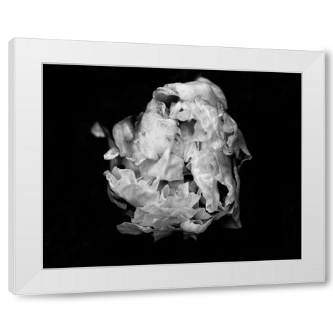Poetry II White Modern Wood Framed Art Print by Ling, Tang