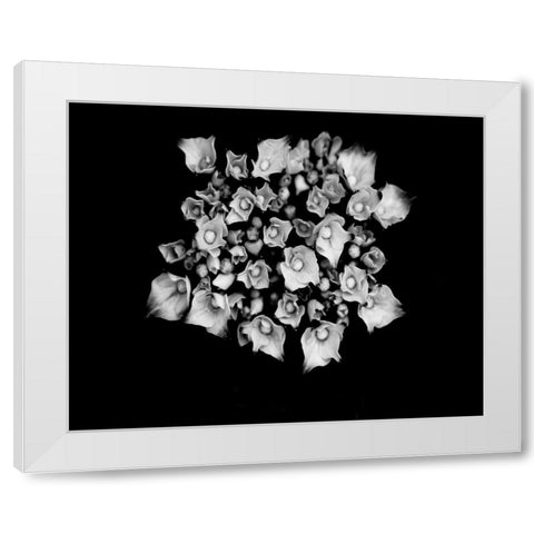 Poetry III White Modern Wood Framed Art Print by Ling, Tang