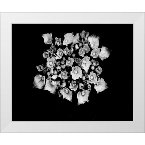 Poetry III White Modern Wood Framed Art Print by Ling, Tang