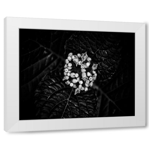 Poetry IV White Modern Wood Framed Art Print by Ling, Tang