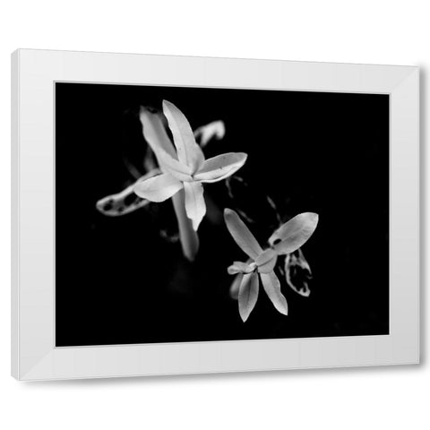 Poetry VI White Modern Wood Framed Art Print by Ling, Tang