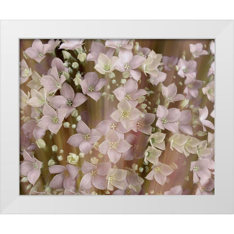 Soft Floral II White Modern Wood Framed Art Print by Harrington, Danielle