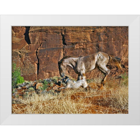 Running Horses I White Modern Wood Framed Art Print by Drost, David