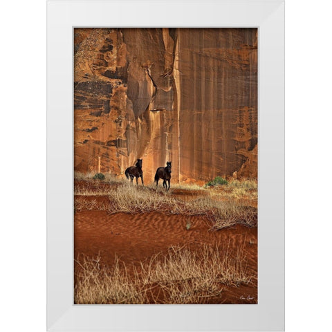 Custom Canyon Dewellers (ASH) White Modern Wood Framed Art Print by Drost, David